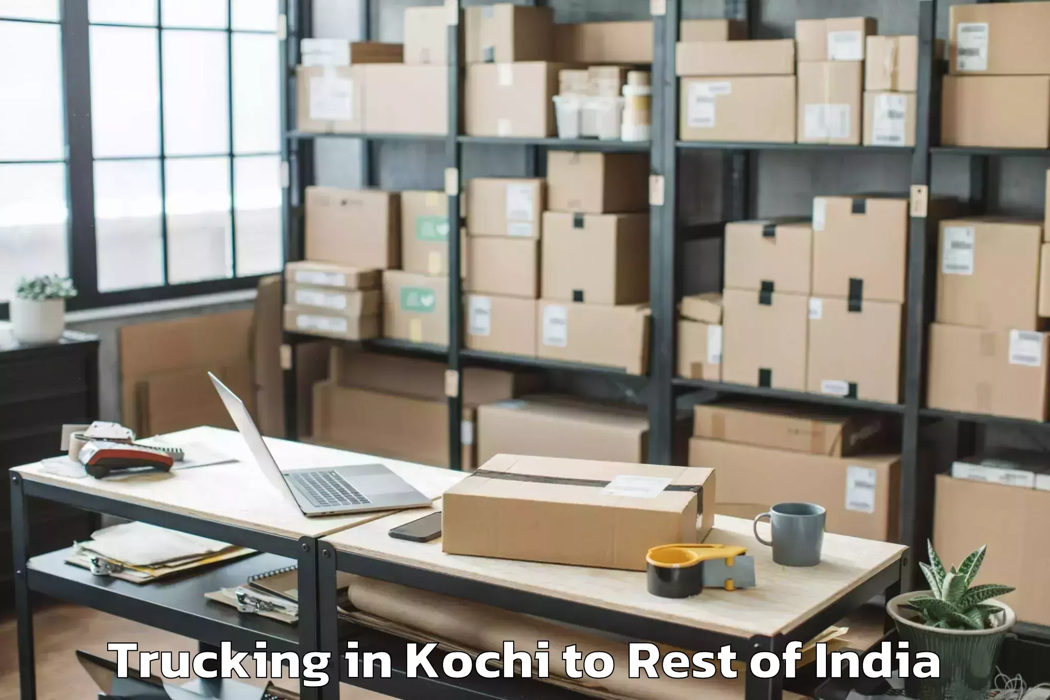 Get Kochi to Yellareddy Guda Trucking